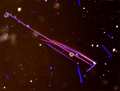 �A���T�C�g